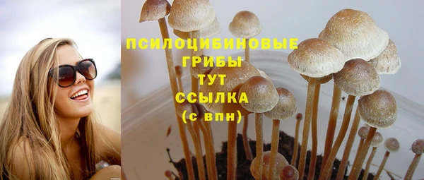 соль курить ск Михайловск
