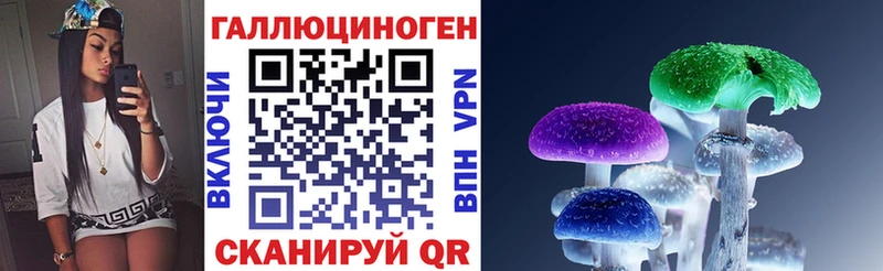 Галлюциногенные грибы GOLDEN TEACHER  Купить  Удомля 